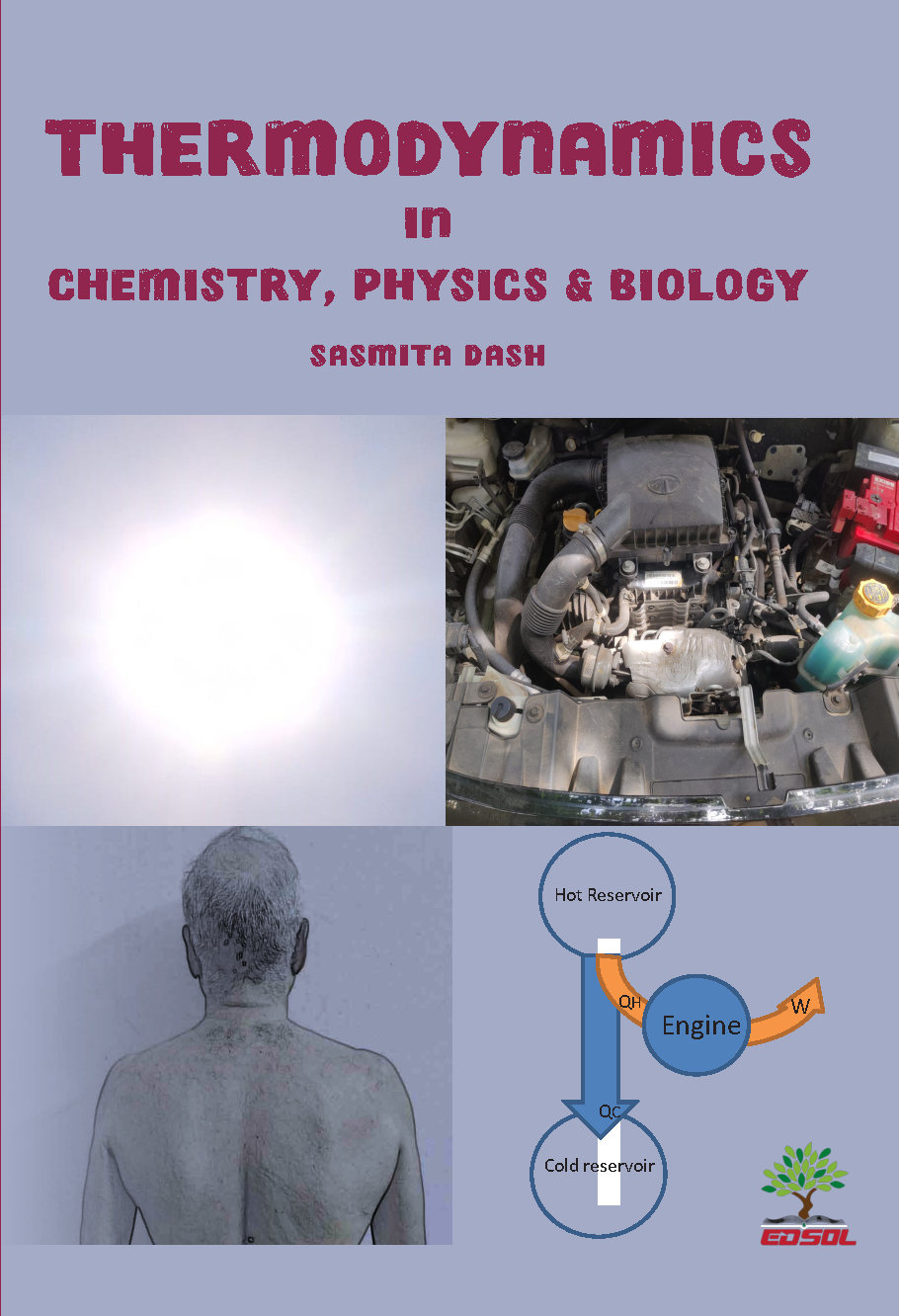 Thermodynamics In Chemistry, Physics & Biology